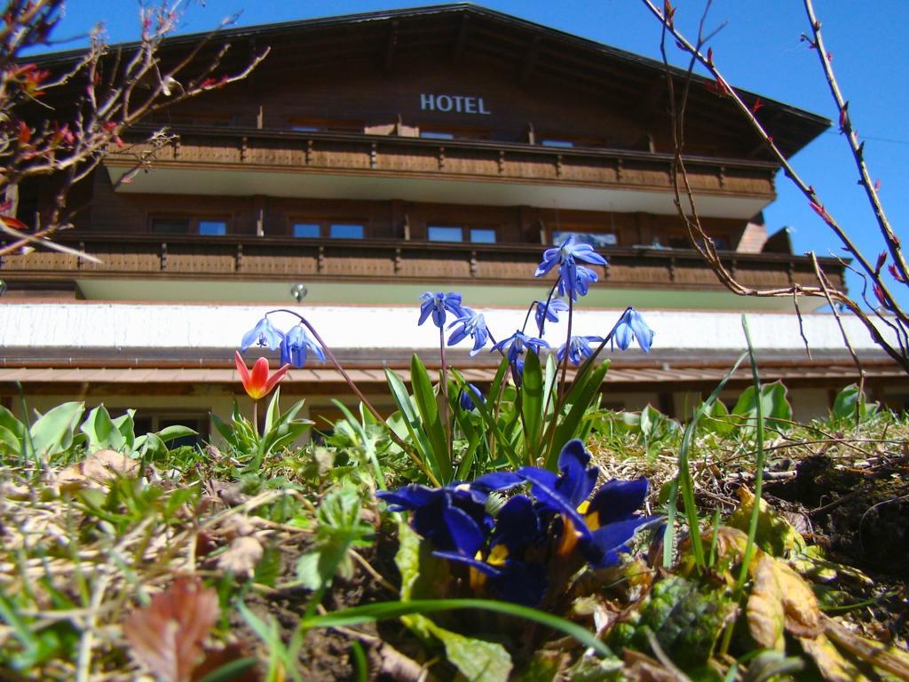 Hotel Bellevue Neustift im Stubaital Exteriör bild